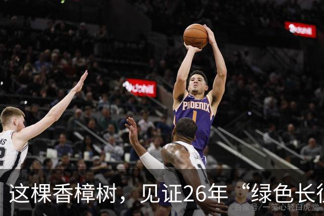 这棵香樟树，见证26年“绿色长征”
